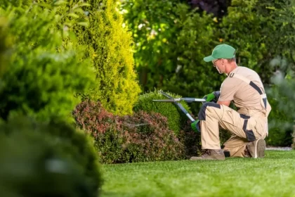 arbusto para jardim
