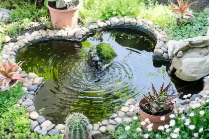 como fazer um jardim com pedras