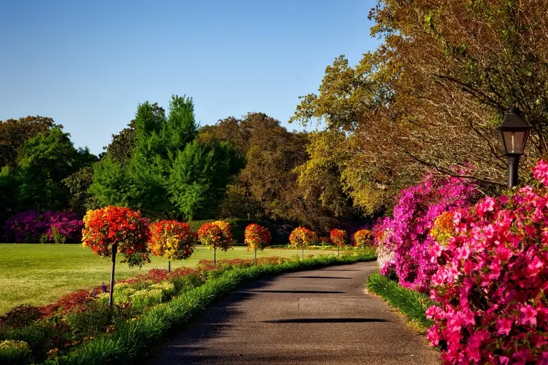 como fazer um jardim no quintal
