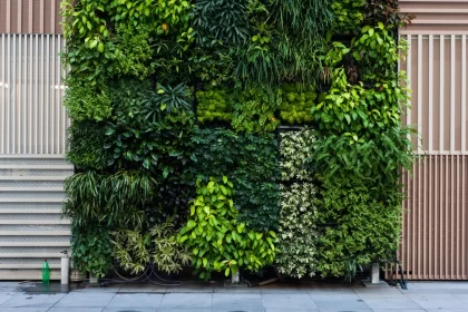 como montar um jardim vertical