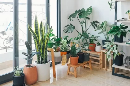 jardim de inverno na sala