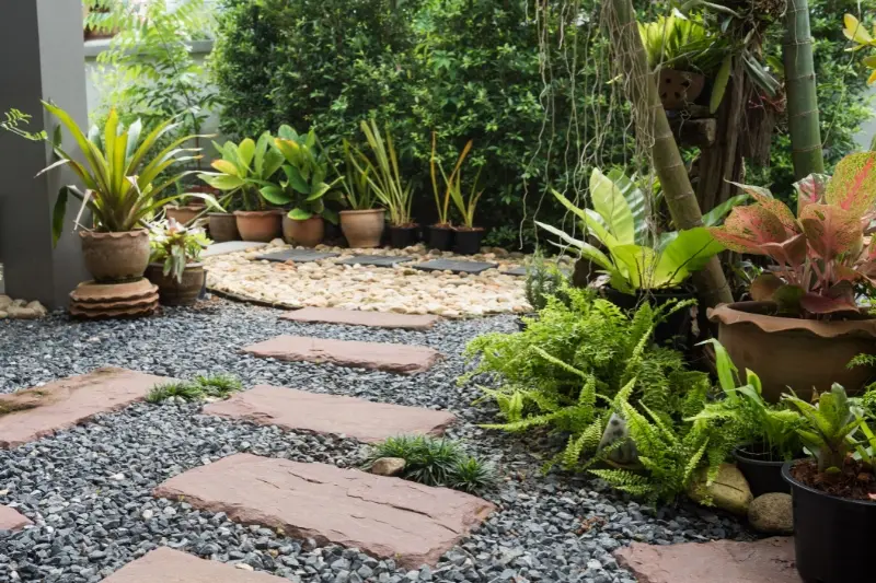 jardim pequeno e simples
