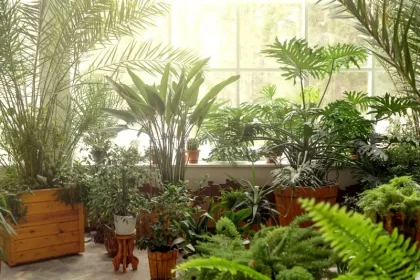 o que é um jardim de inverno