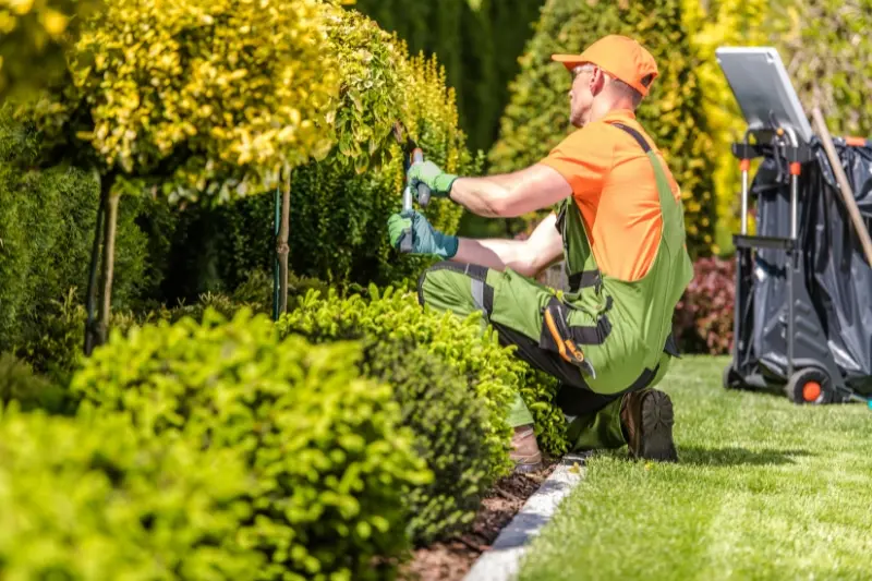 plantas de jardim
