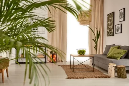 plantas para apartamento